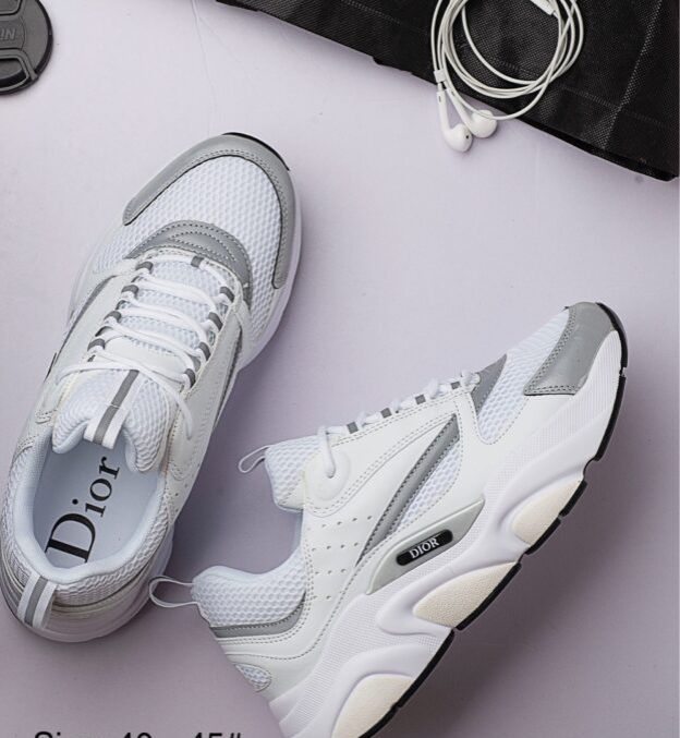Dior B22 'White Grey'