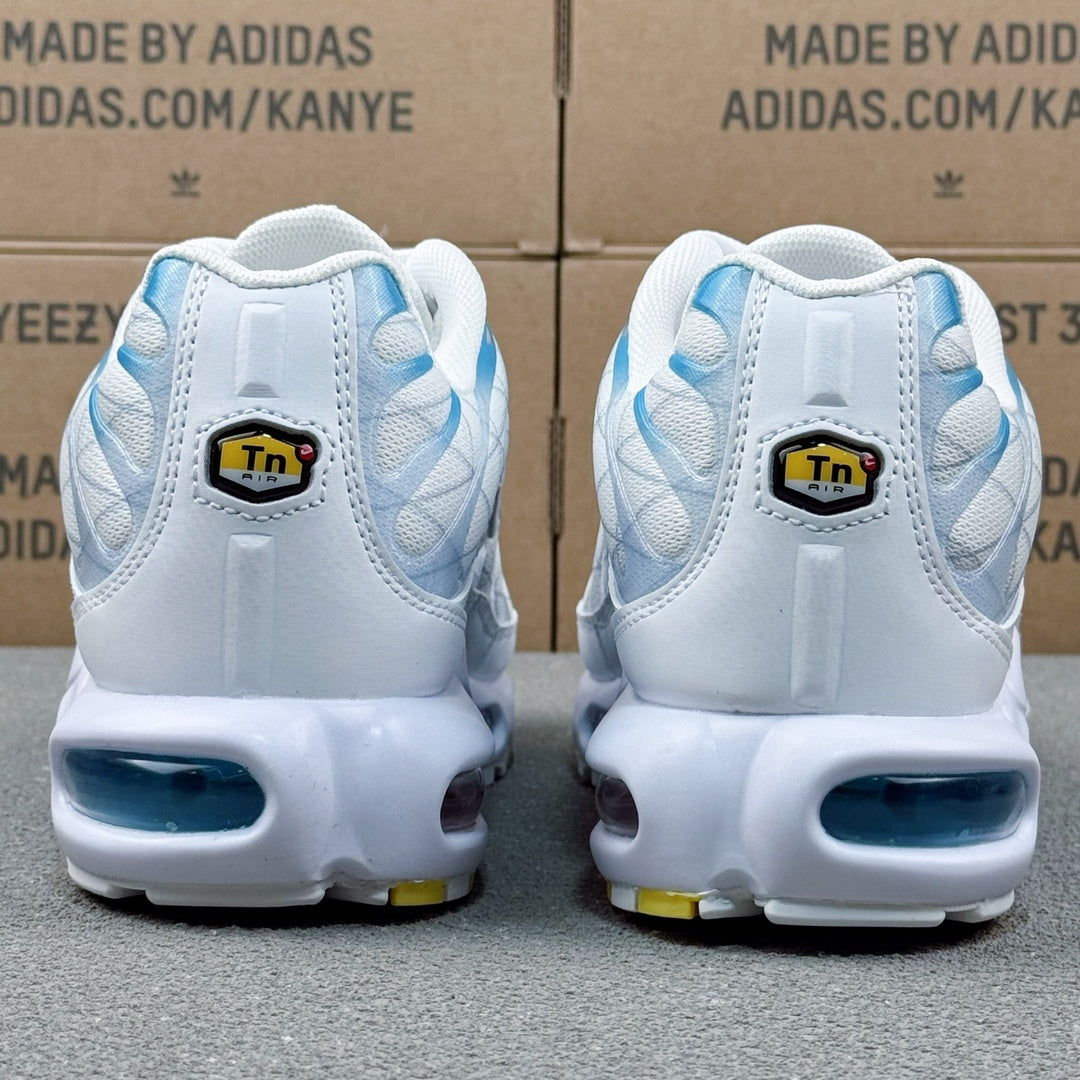 Nike Air Max TN Plus "Marseille"