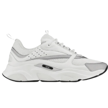 Dior B22 'White Grey'